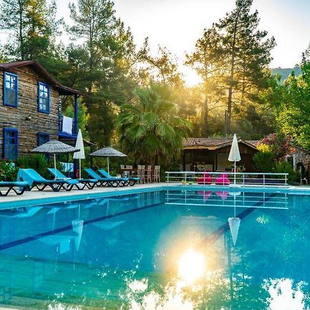 Hotel Olympos Forest House Yazir  Exteriér fotografie