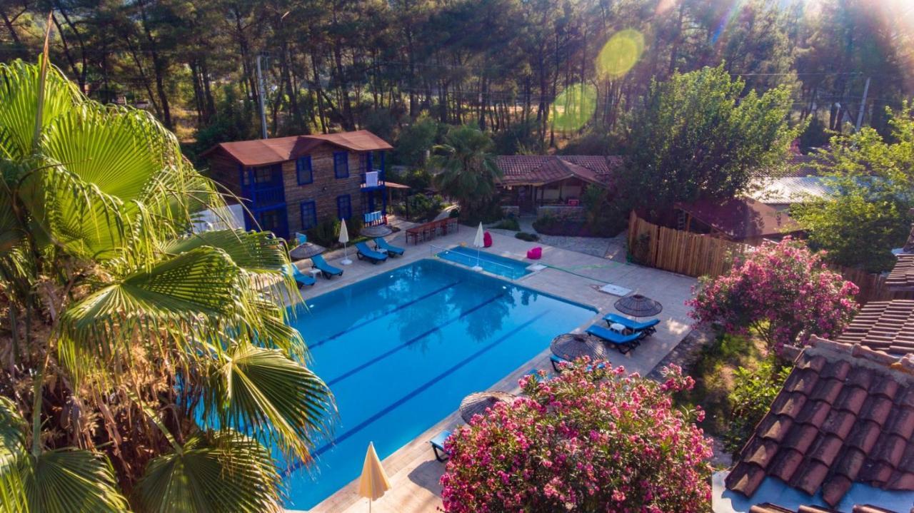 Hotel Olympos Forest House Yazir  Exteriér fotografie